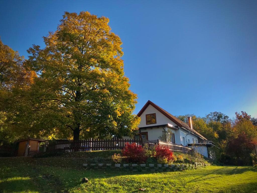 Ferienhaus Koller Güssing Eksteriør bilde