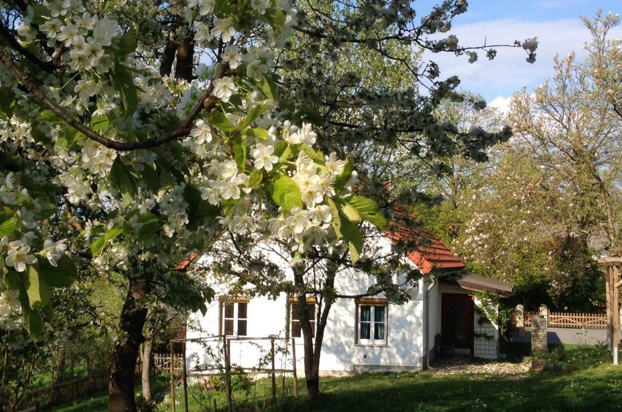 Ferienhaus Koller Güssing Eksteriør bilde
